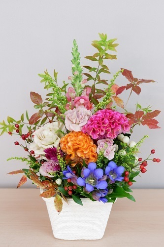 DSCF5712.JPG